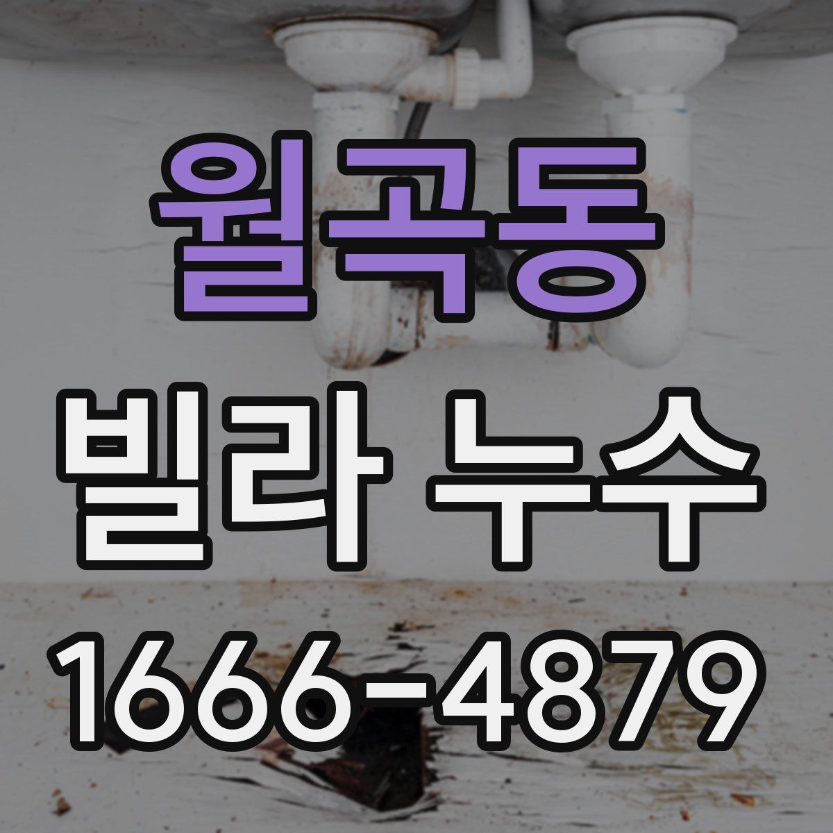 월곡동 빌라 누수