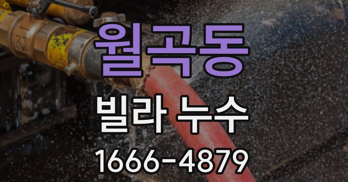 월곡동 빌라 누수