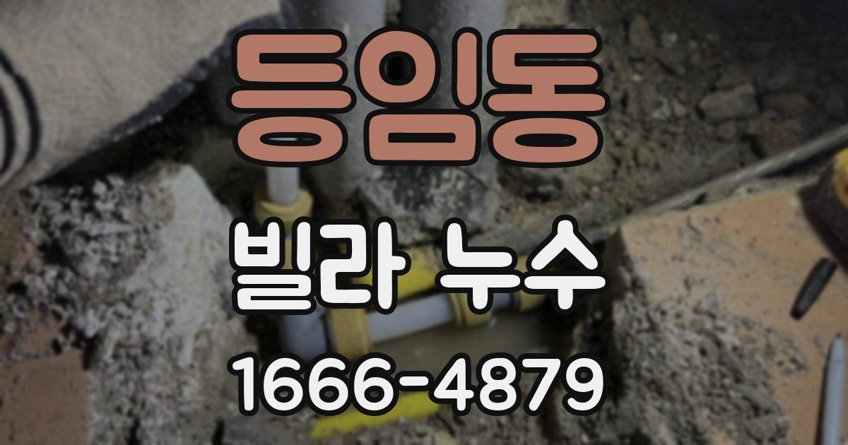 등임동 빌라 누수