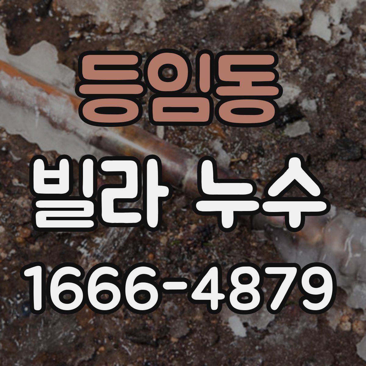 등임동 빌라 누수
