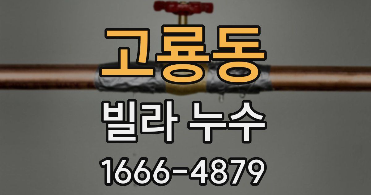 고룡동 빌라 누수