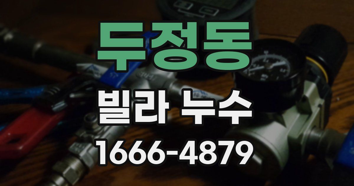 두정동 빌라 누수