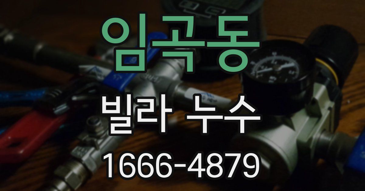 임곡동 빌라 누수