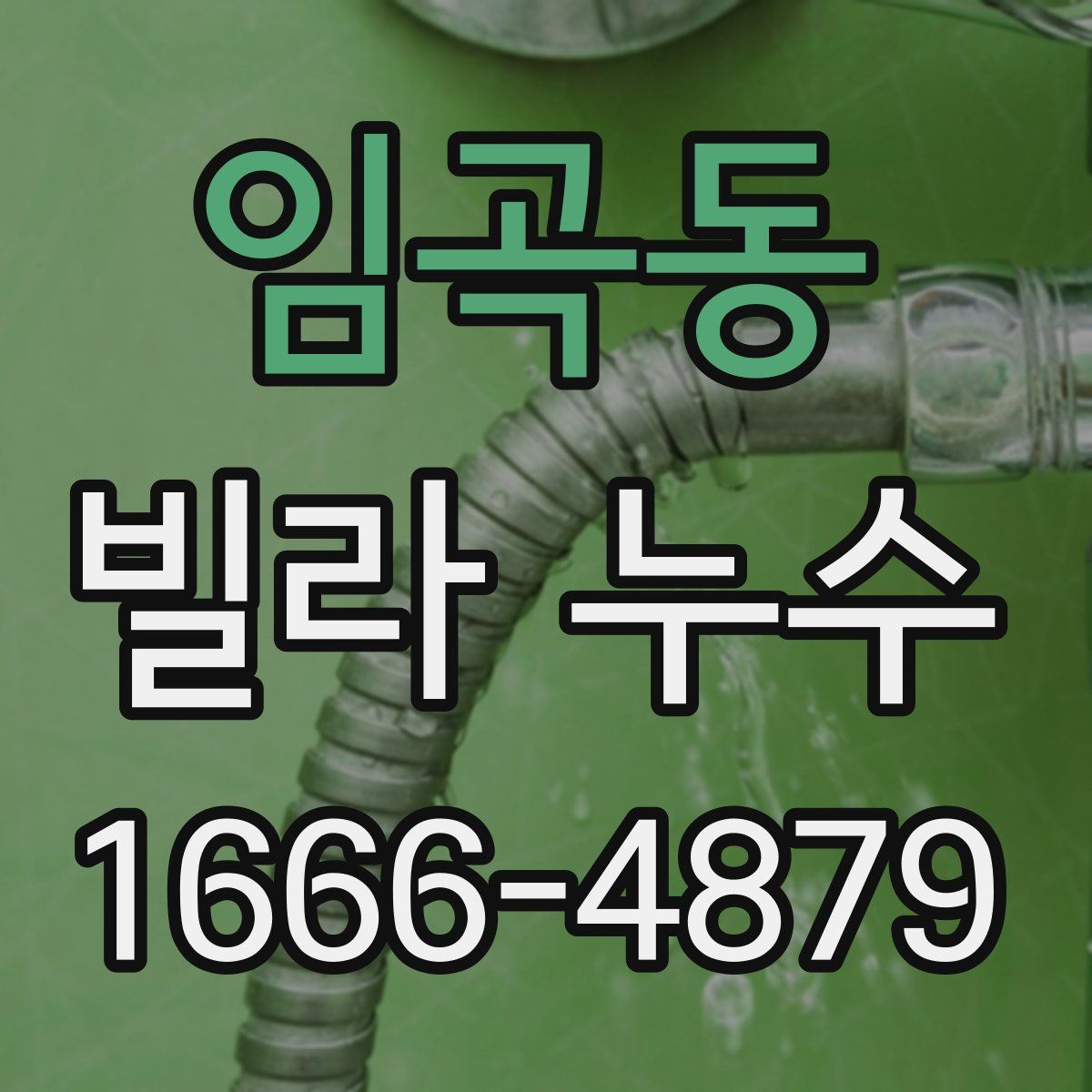 임곡동 빌라 누수