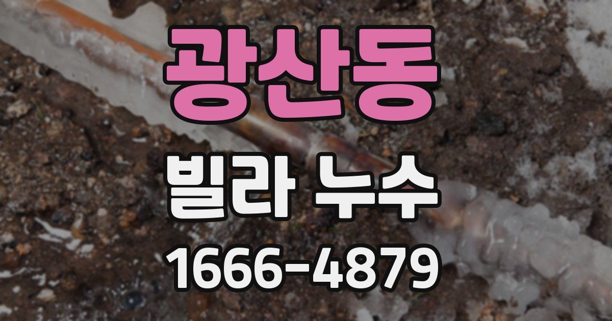 광산동 빌라 누수