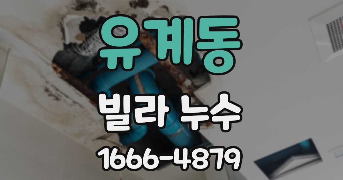 유계동 빌라 누수