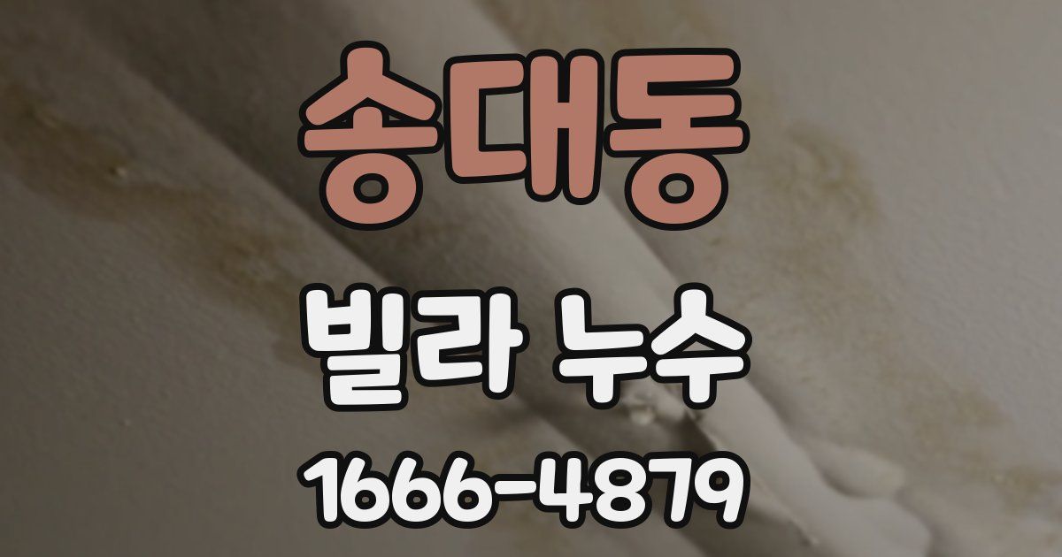 송대동 빌라 누수