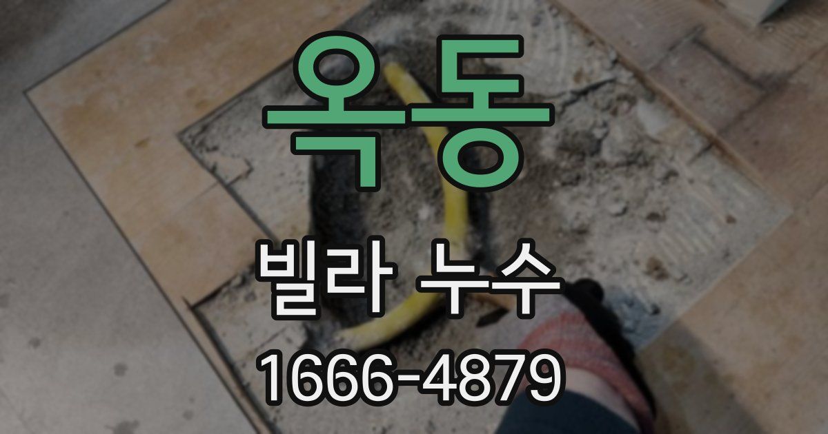 옥동 빌라 누수