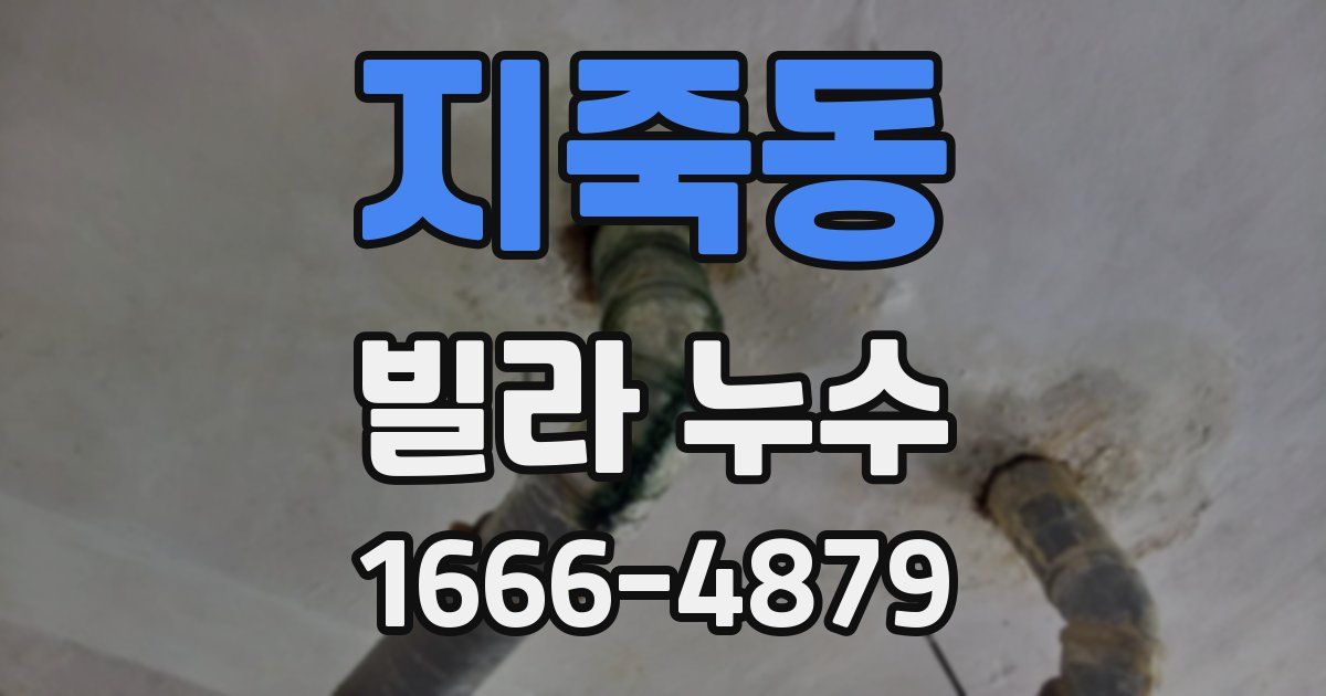 지죽동 빌라 누수