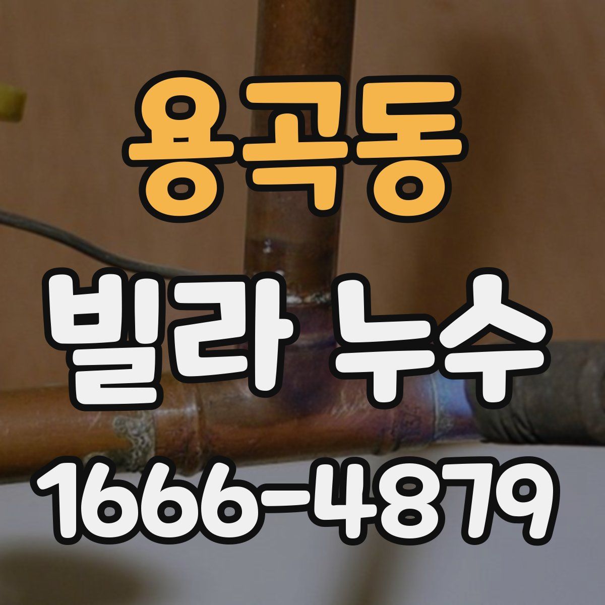 용곡동 빌라 누수