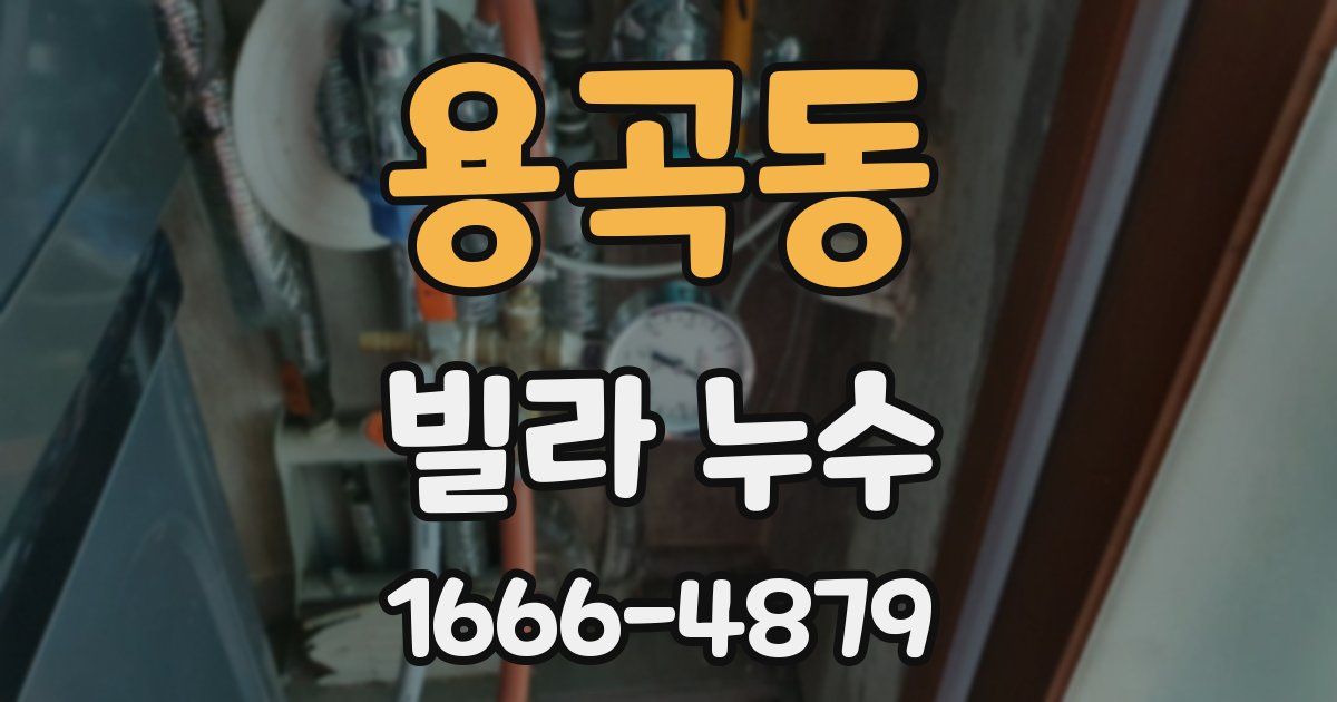 용곡동 빌라 누수