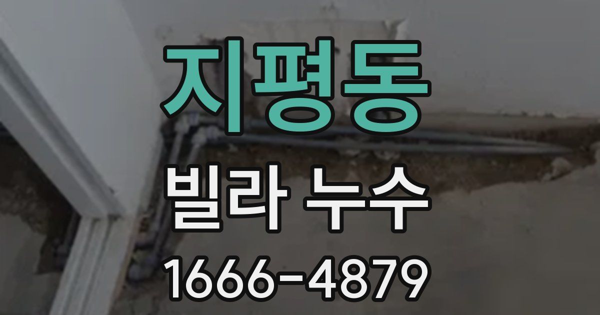 지평동 빌라 누수