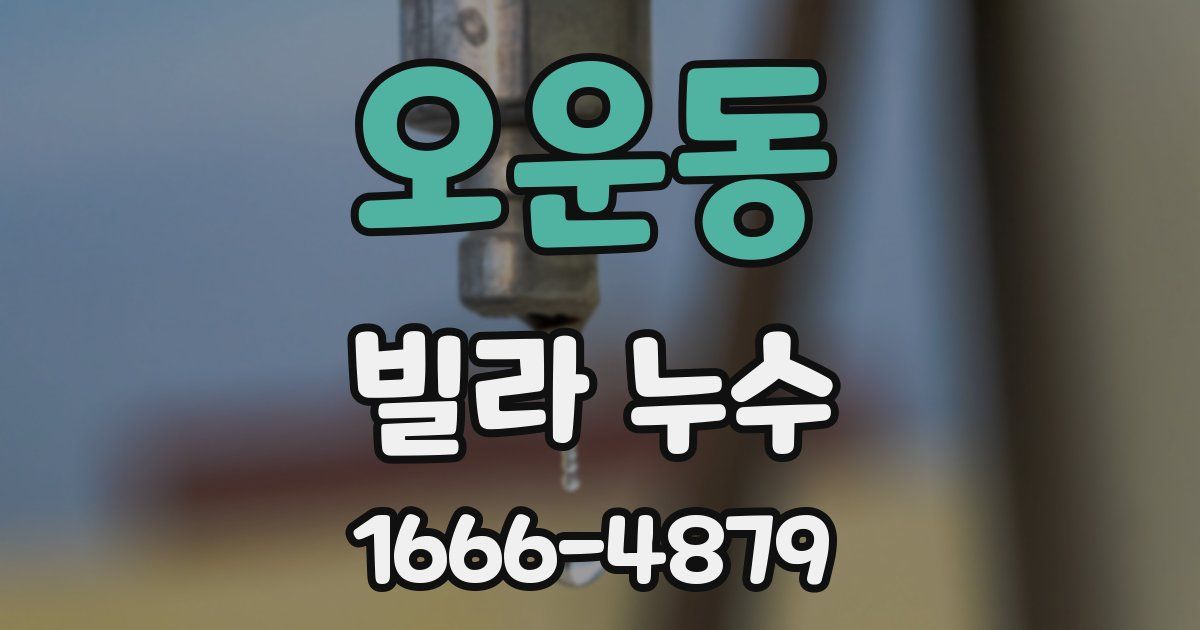오운동 빌라 누수