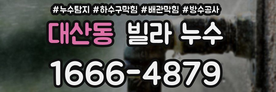 대산동 빌라 누수