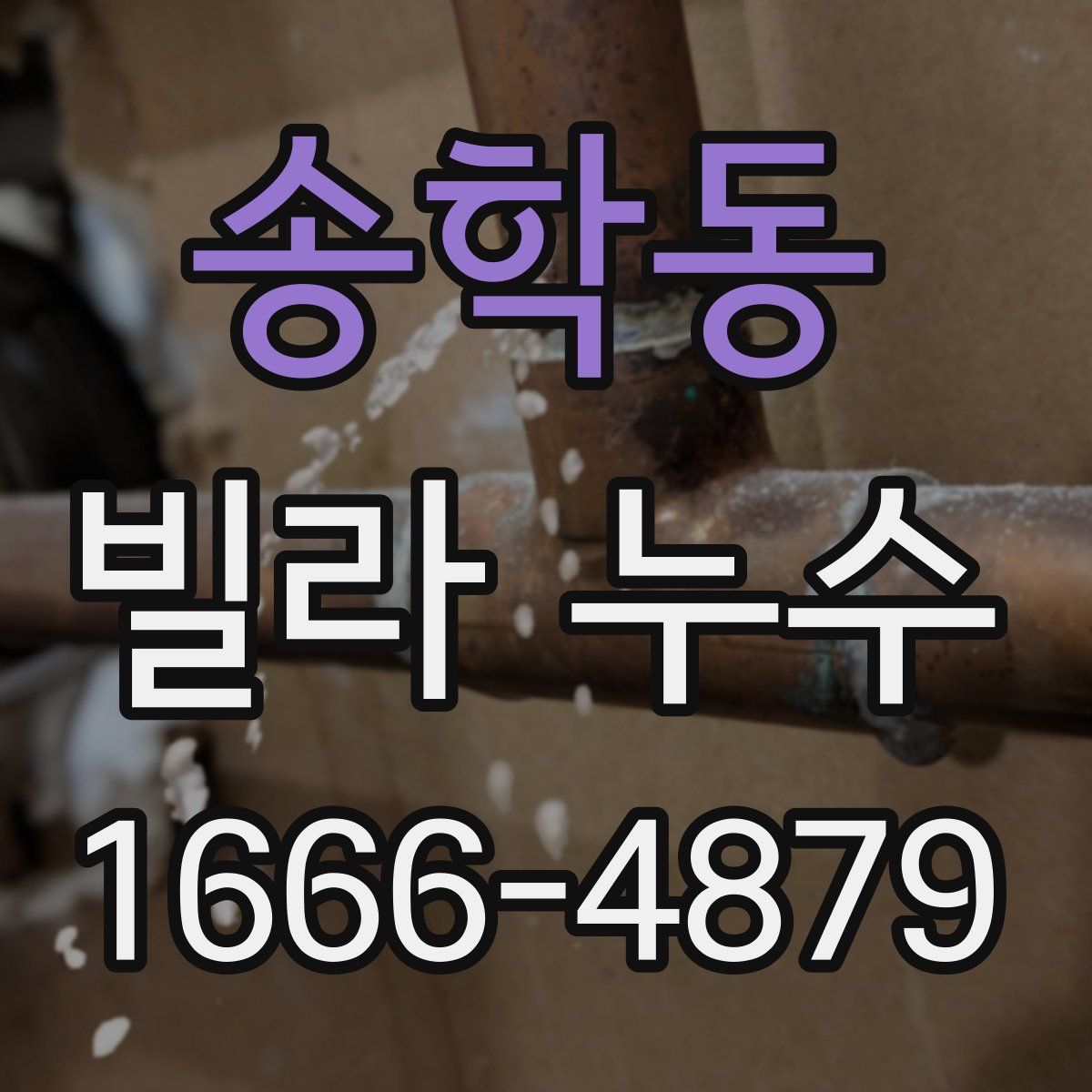 송학동 빌라 누수