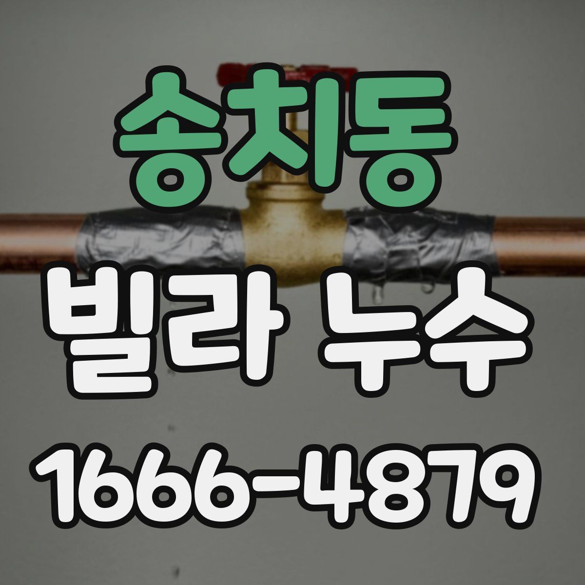 송치동 빌라 누수