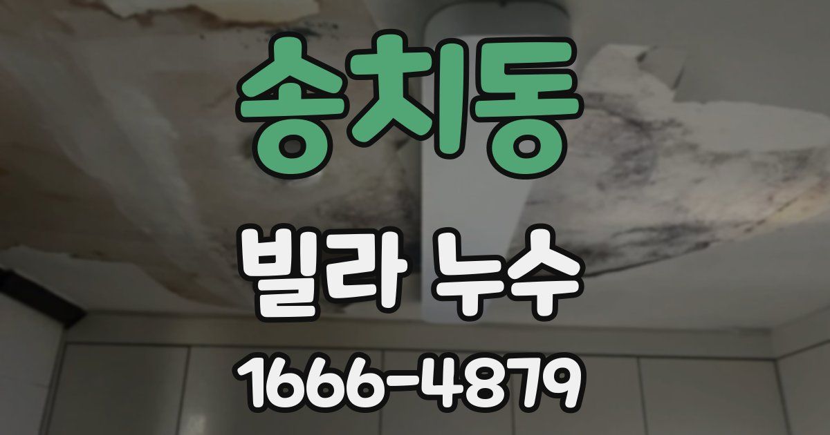 송치동 빌라 누수