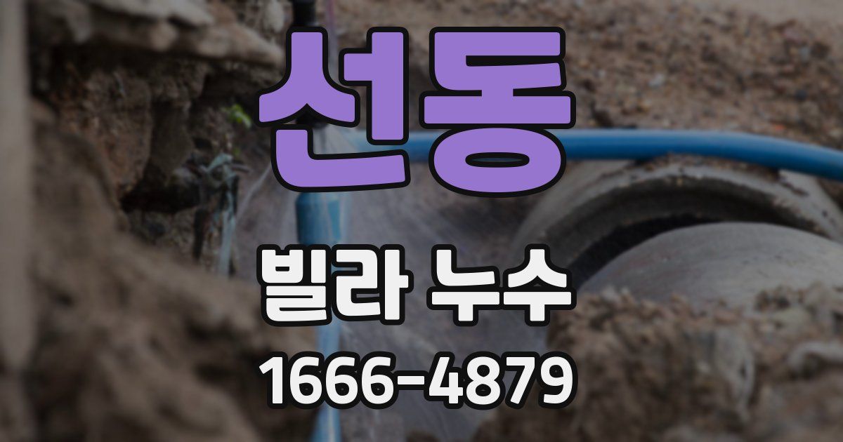 선동 빌라 누수