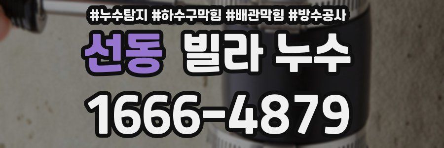 선동 빌라 누수