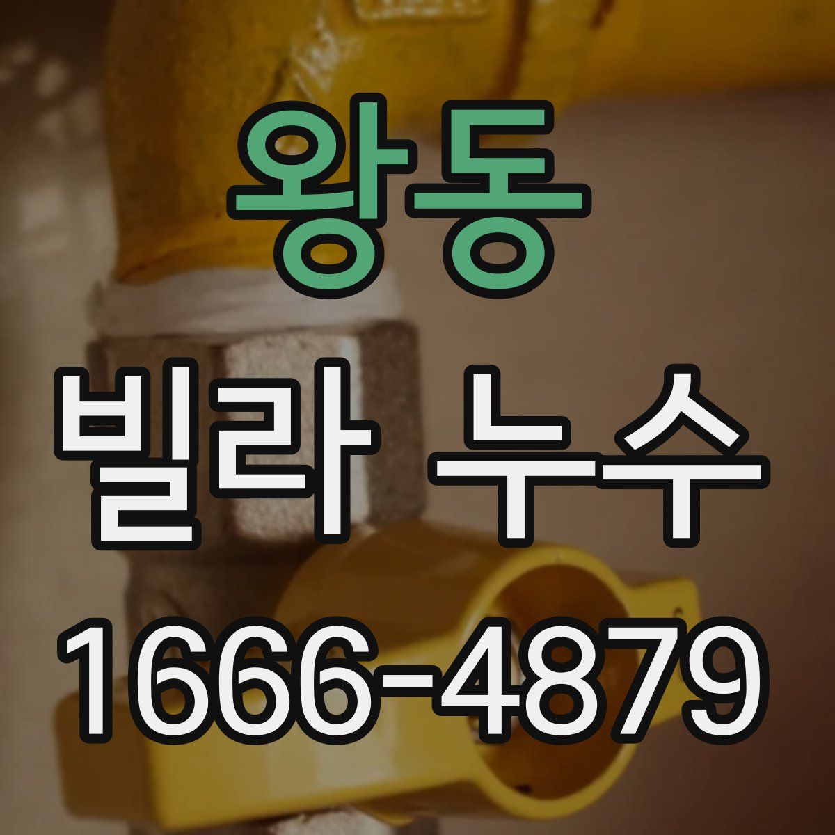 왕동 빌라 누수