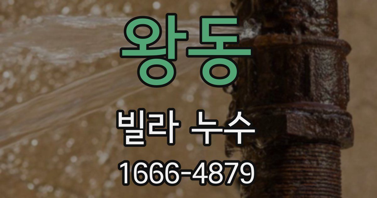 왕동 빌라 누수