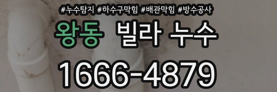 왕동 빌라 누수