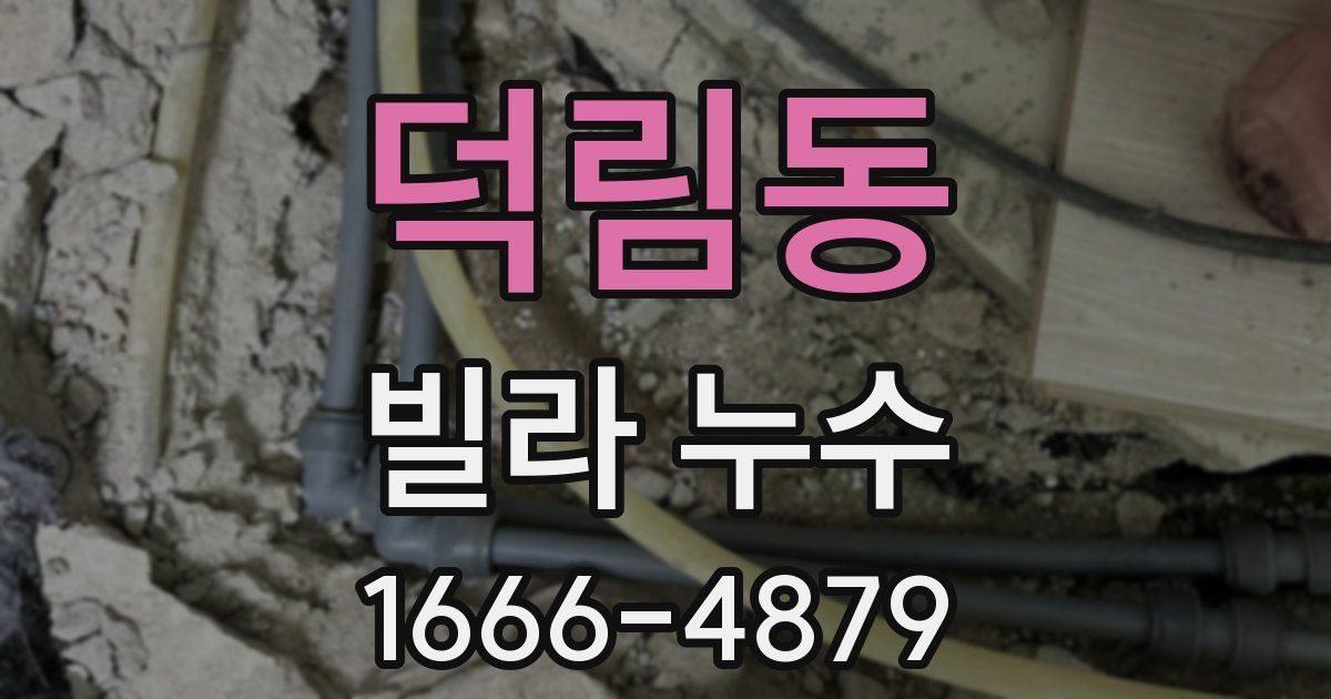 덕림동 빌라 누수