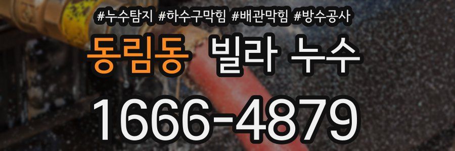 동림동 빌라 누수