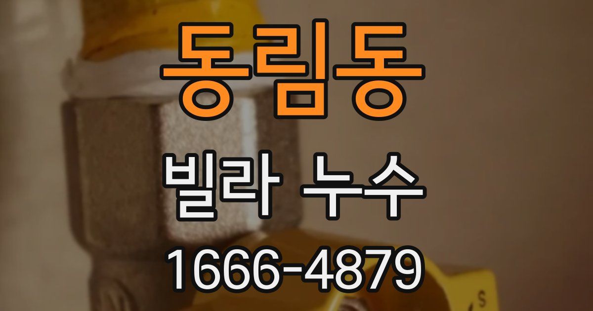 동림동 빌라 누수