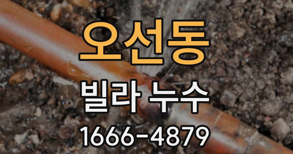 오선동 빌라 누수