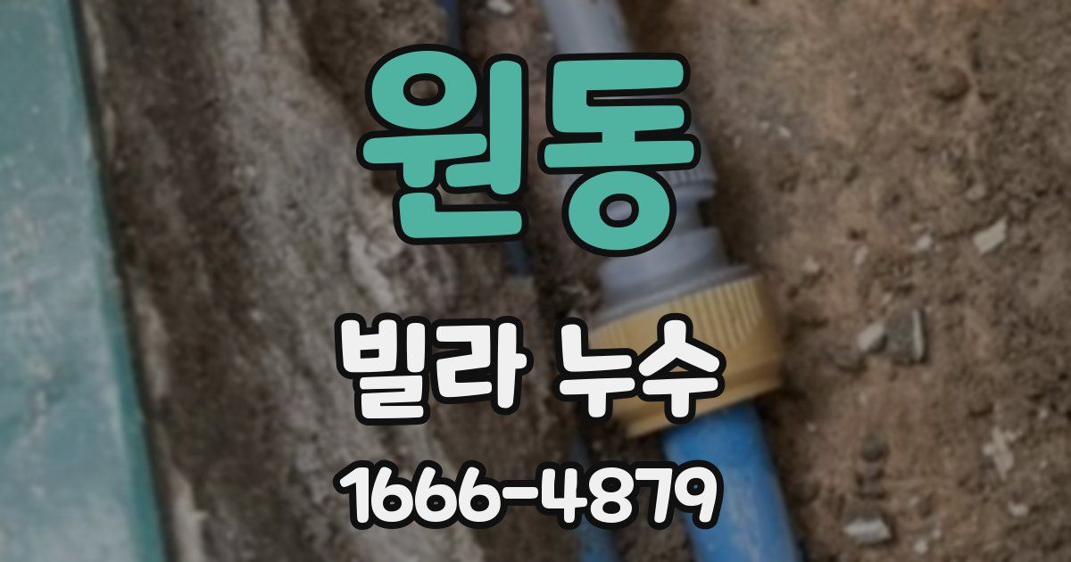원동 빌라 누수