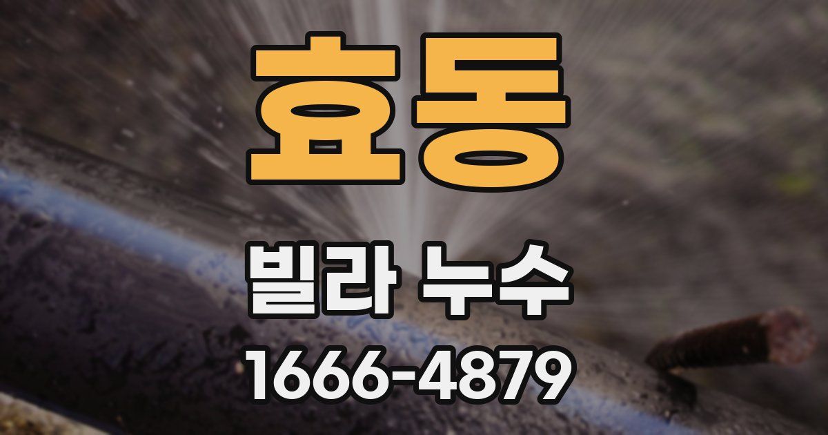 효동 빌라 누수
