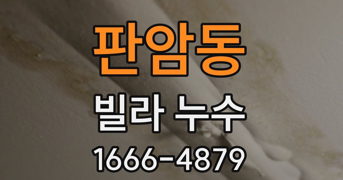 판암동 빌라 누수