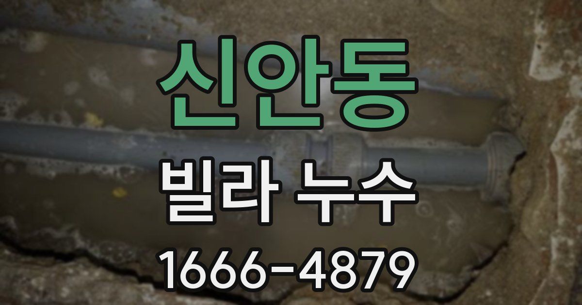 신안동 빌라 누수