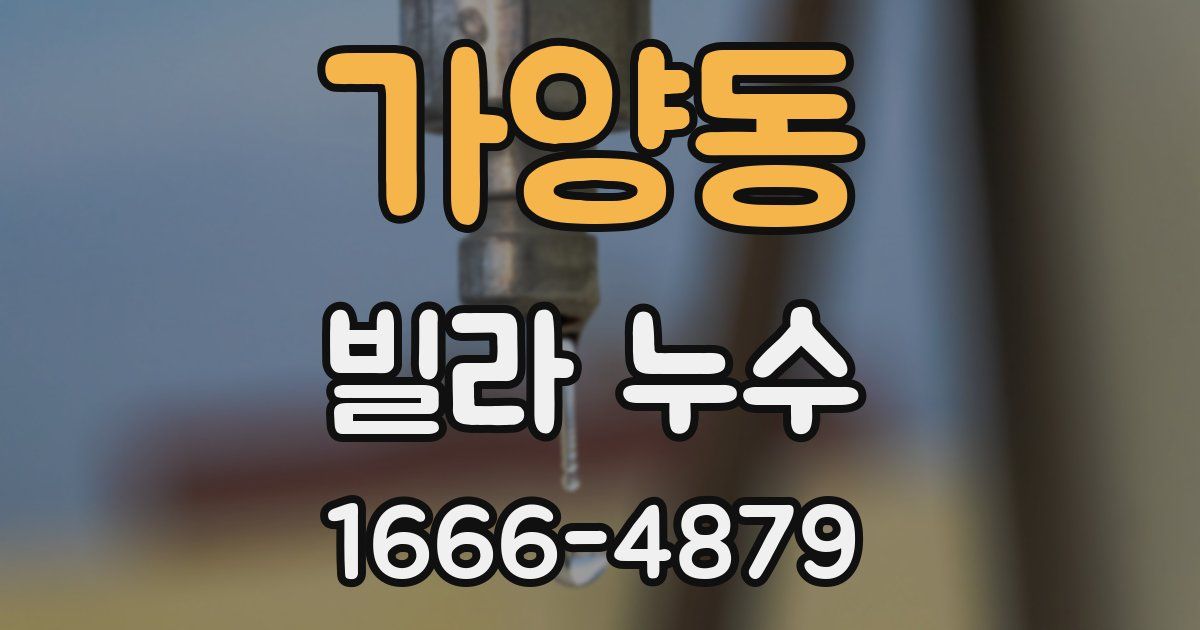 가양동 빌라 누수