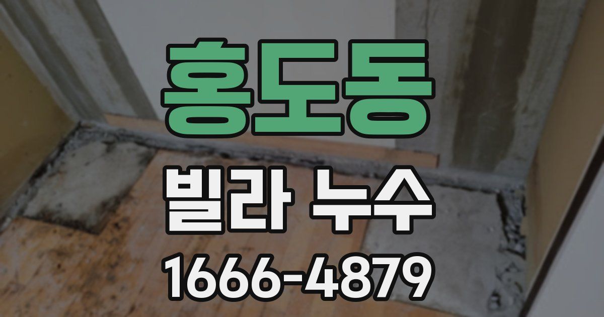 홍도동 빌라 누수
