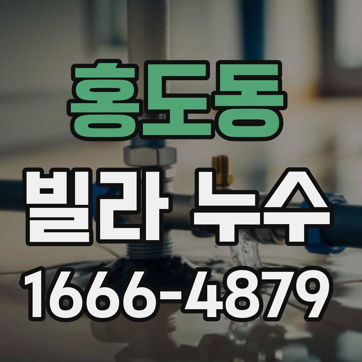 홍도동 빌라 누수