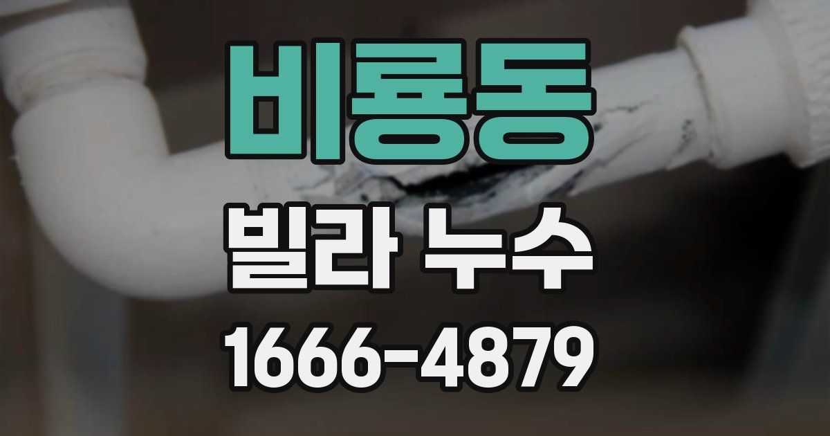 비룡동 빌라 누수