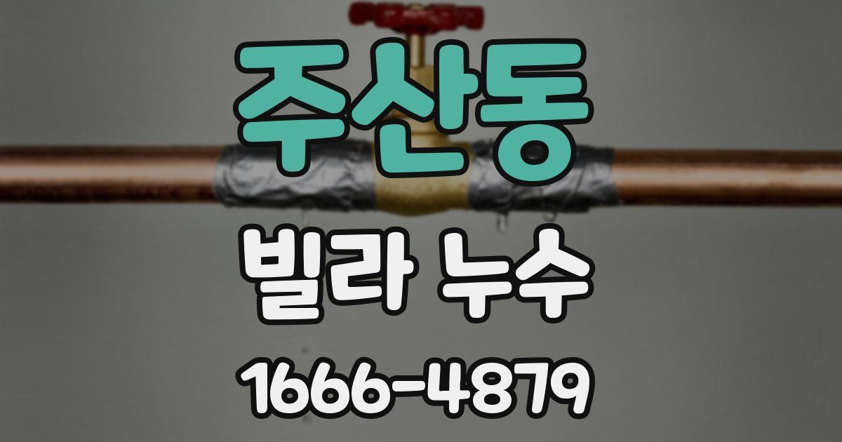 주산동 빌라 누수