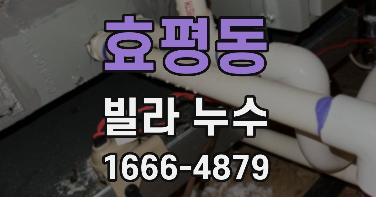 효평동 빌라 누수