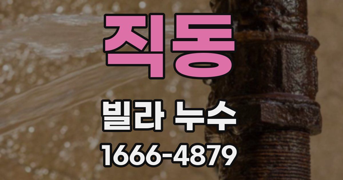 직동 빌라 누수