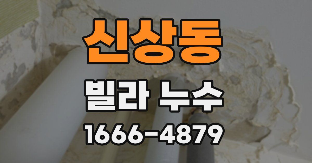 신상동 빌라 누수