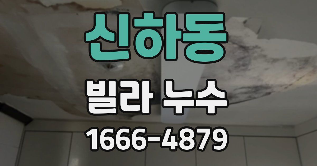 신하동 빌라 누수