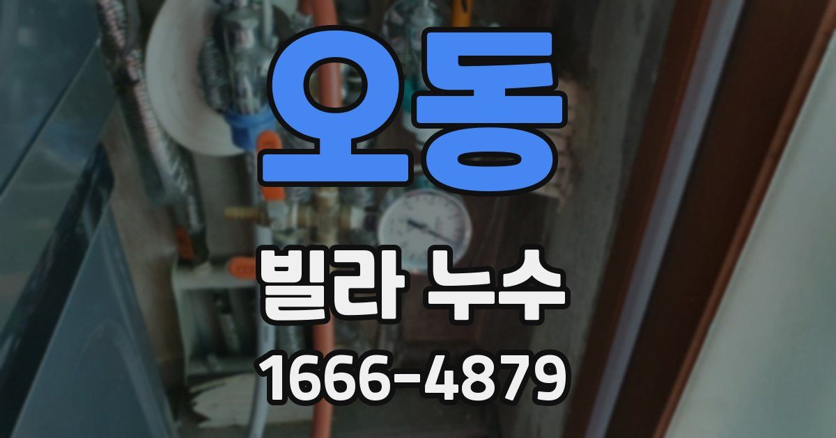오동 빌라 누수