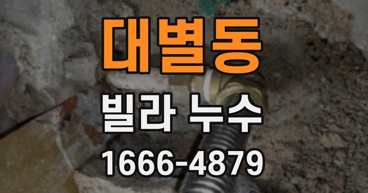 대별동 빌라 누수