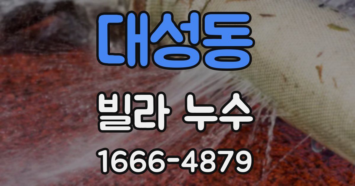 대성동 빌라 누수