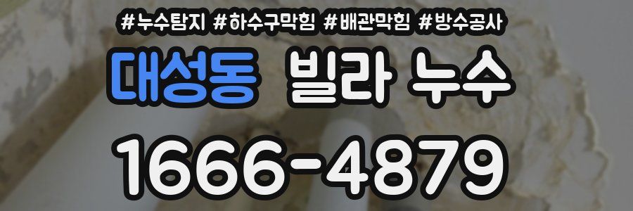 대성동 빌라 누수
