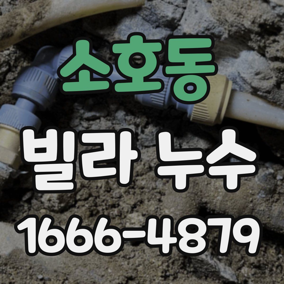 소호동 빌라 누수
