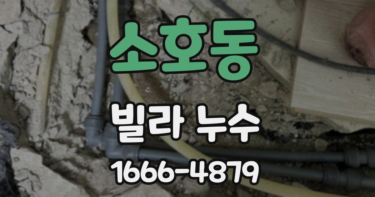 소호동 빌라 누수
