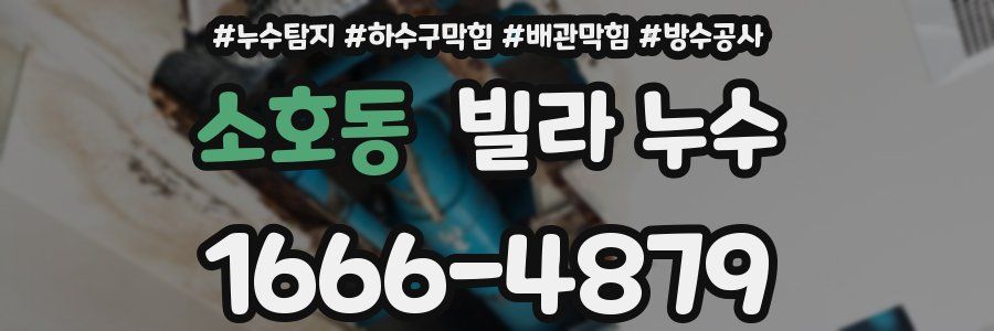 소호동 빌라 누수